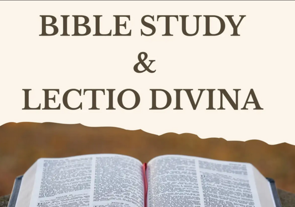 Bible Study & Lectio Divina